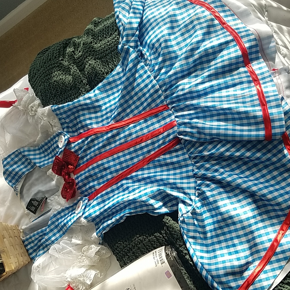 Dorothy Halloween Costume